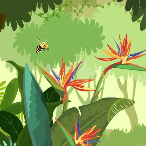 Biodiversity Day - Consultivo