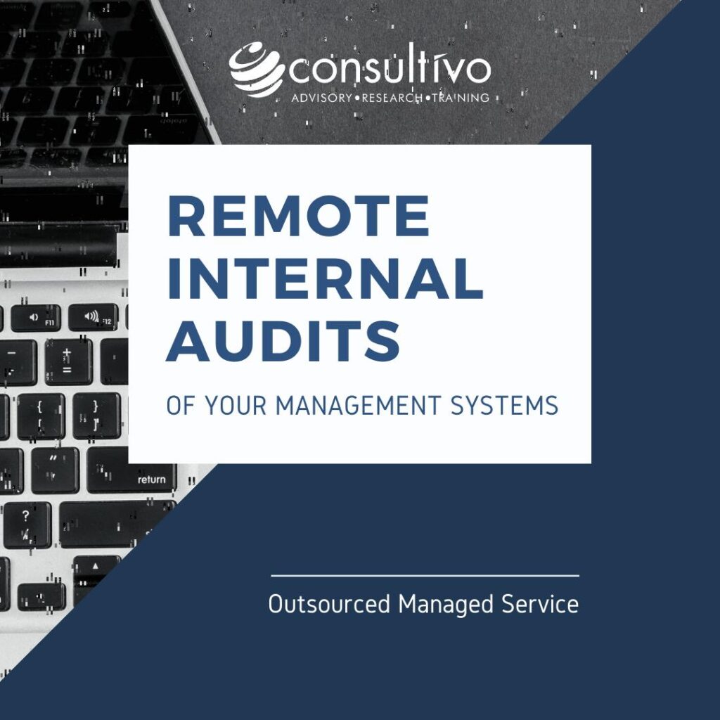 remote internal audit
