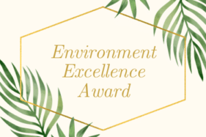 environment excellence award