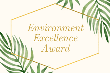 environment excellence award