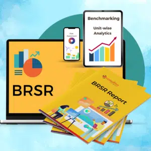 BRSR - Business Responsibility and Sustainability Reporting Consultancy Company
