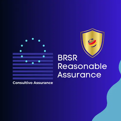 BRSR Reasonable and Limited Assurance and ESG Assurance Audit Service Provider