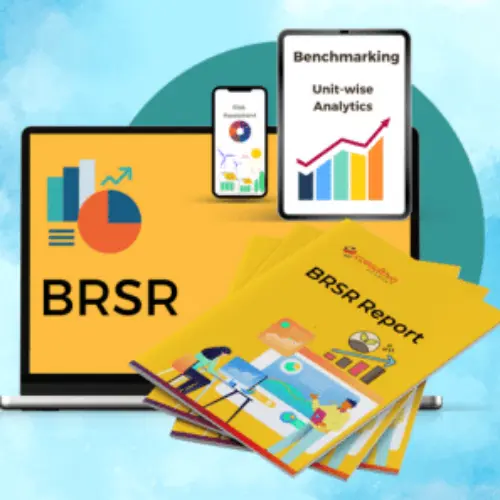 BRSR - Business Responsibility and Sustainability Reporting Consultancy Company