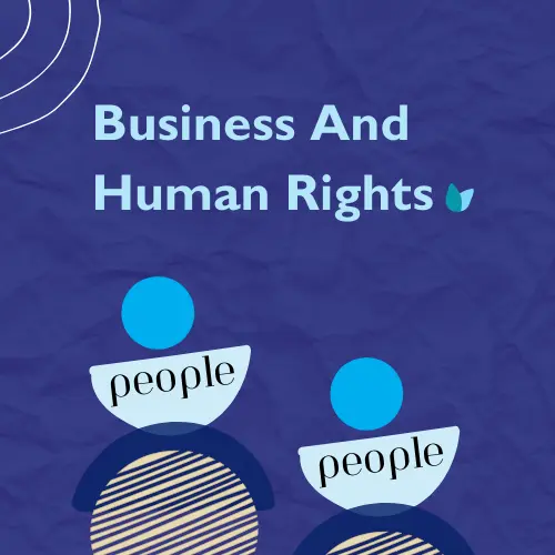 Business and Human Rights Due Diligence Consultants B&HR BHR+