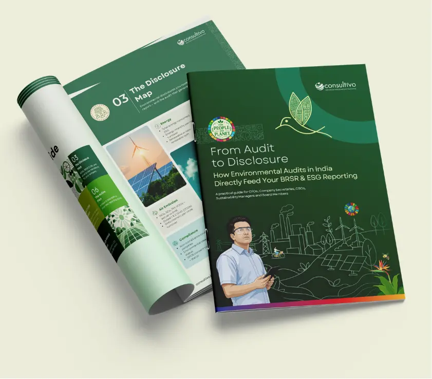 Environment Audit Handbook Consultivo